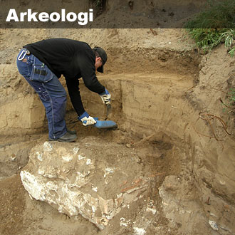 Ulasan Mengenai Perkembangan Arkeologi