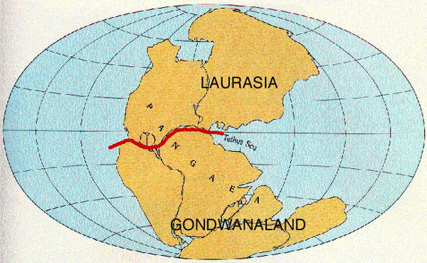 Benua Gondwana dan Laurasia